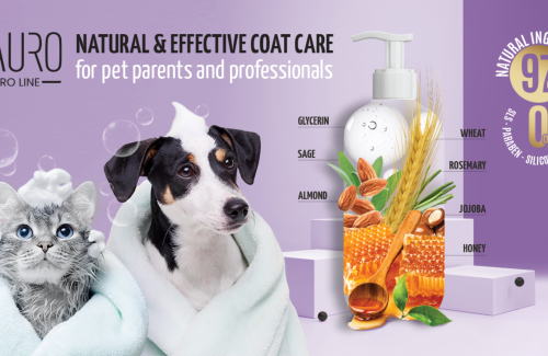 The Science Behind Natural Pet Shampoos: Why pH Balance Matters for Your Pet's Skin