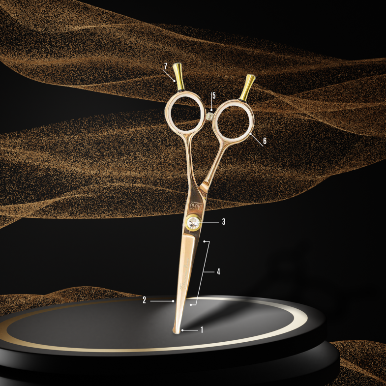 ANATOMY OF SCISSORS