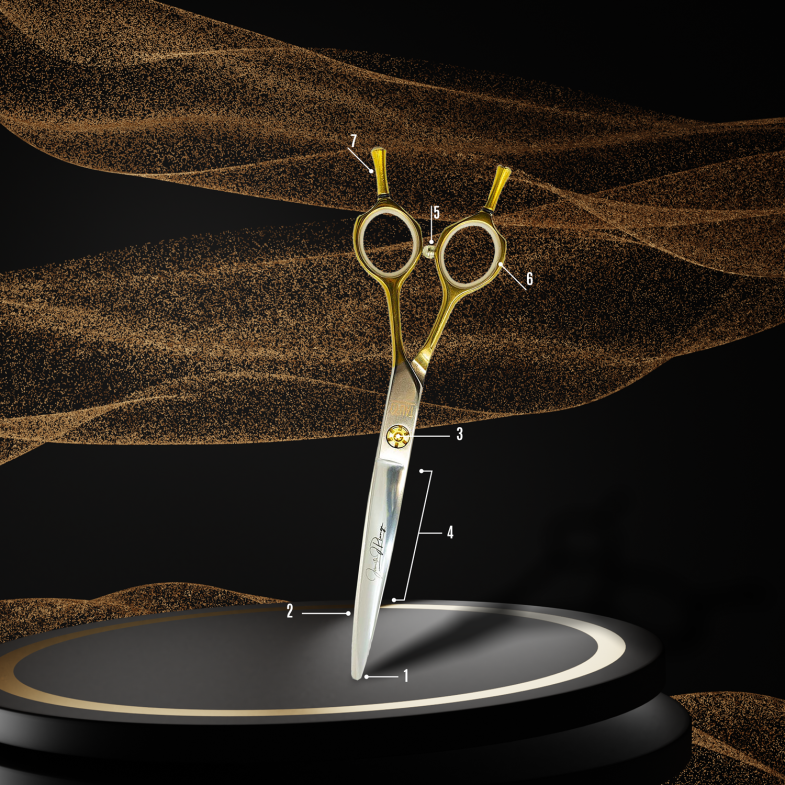 ANATOMY OF SCISSORS