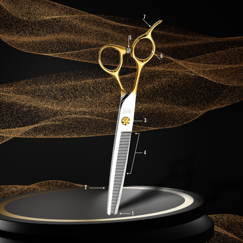 ANATOMY OF SCISSORS