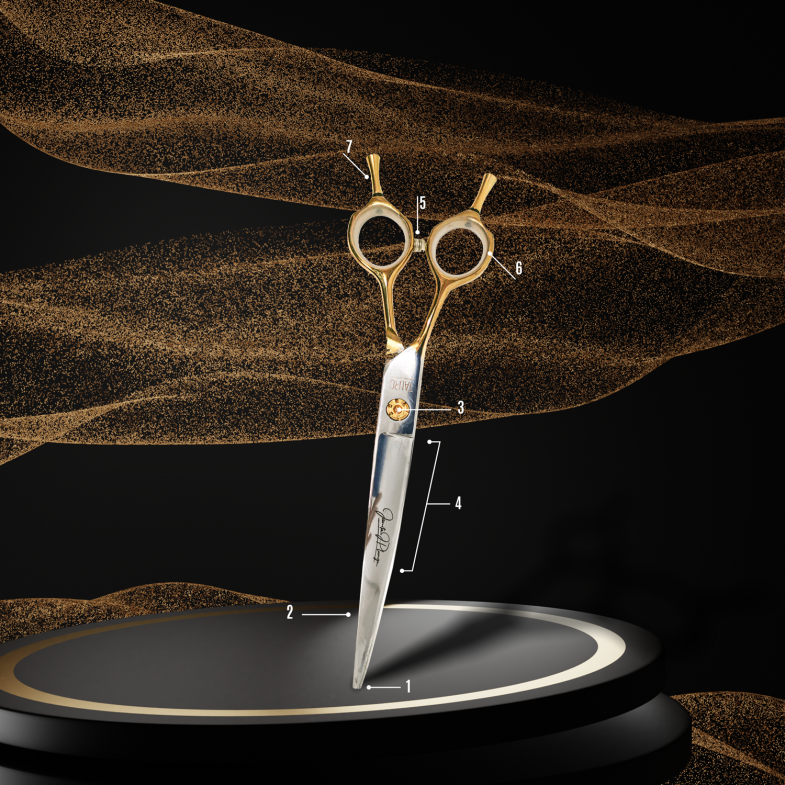 ANATOMY OF SCISSORS