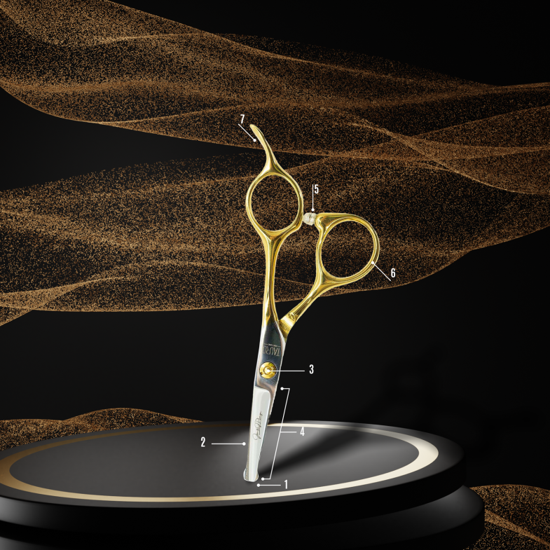 ANATOMY OF SCISSORS