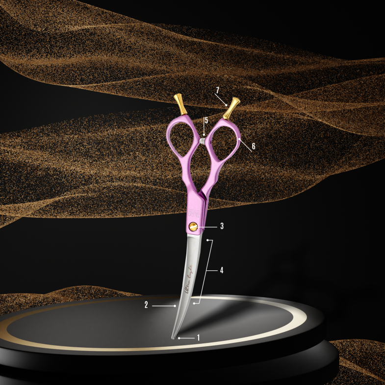 ANATOMY OF SCISSORS
