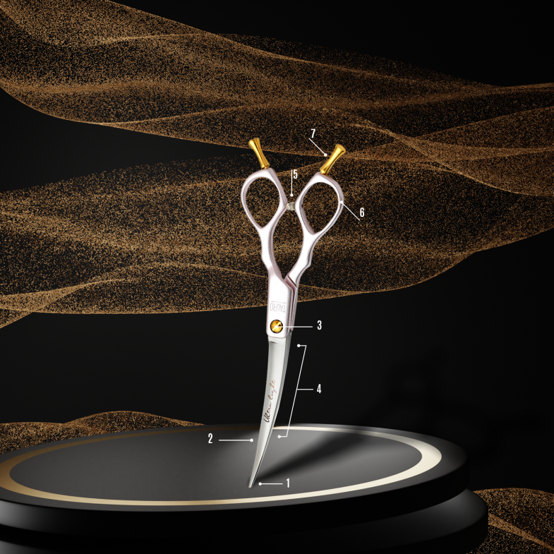 ANATOMY OF SCISSORS