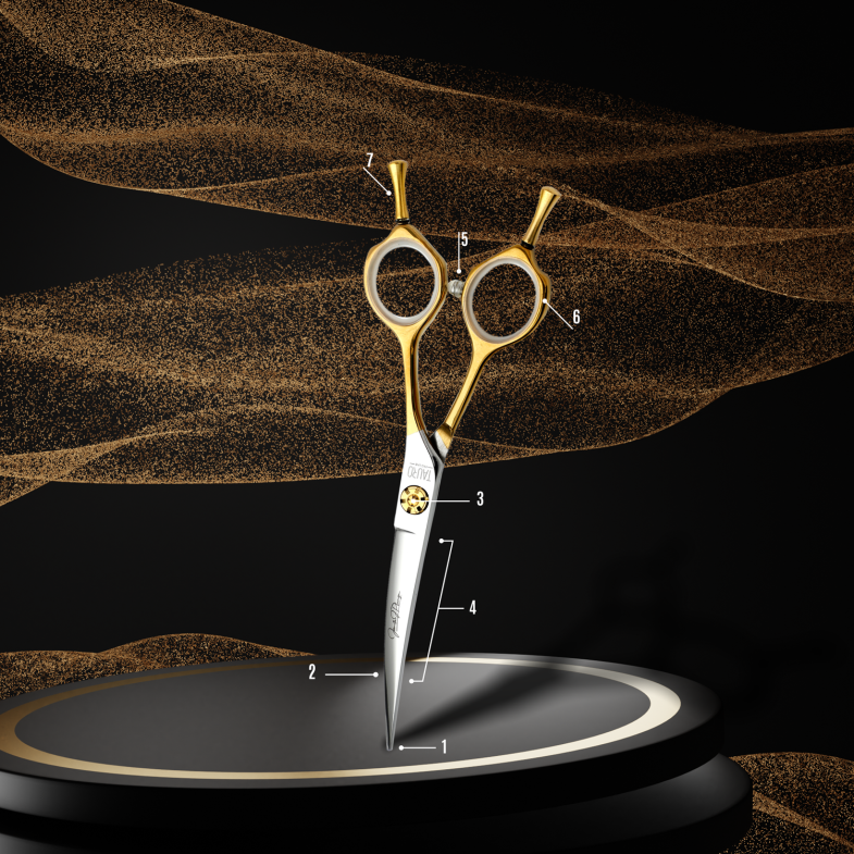 ANATOMY OF SCISSORS