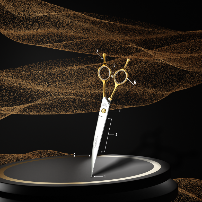 ANATOMY OF SCISSORS