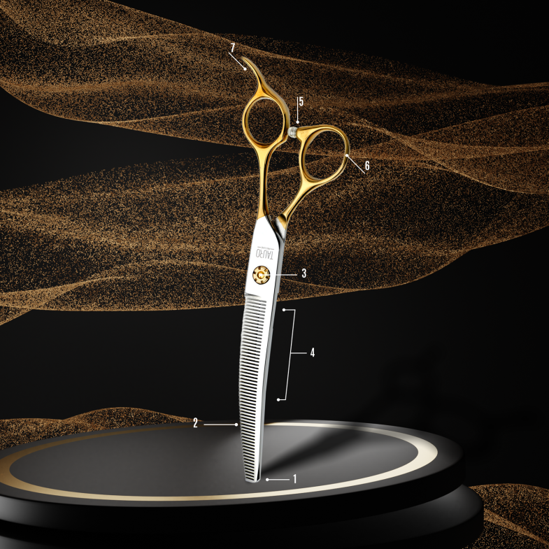 ANATOMY OF SCISSORS