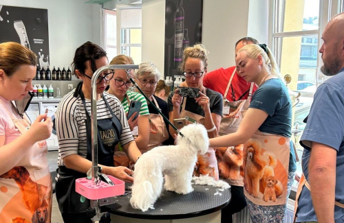 Your Guide to Starting a Grooming Salon: From Passion to Business