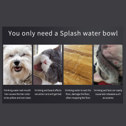 bowl for water