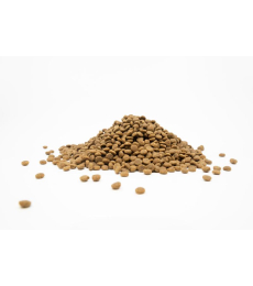 dry grain free food for adult, small and mini breed dogs with salmon