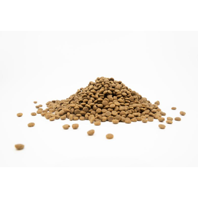 dry grain free food for adult, small and mini breed dogs with salmon - 1