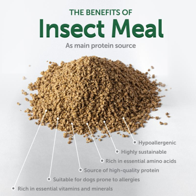 complementary grain free feed - snacks to support healthy growth and development with insects for junior all breed dogs with white coat - 3