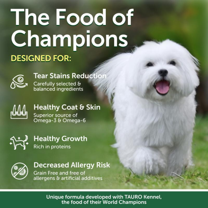 dry food for adult, small and mini breed dogs with white coat, with lamb - 4