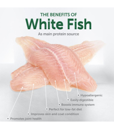 dry pet food with white fish for dogs of all sizes and life stages with white coat