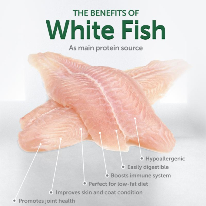 dry grain free pet food with white fish for growing dogs of all sizes with white coat - 1