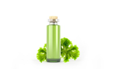 Marine Microalgae