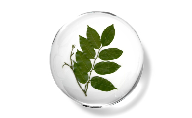 Balsam Peru