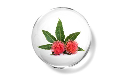 Castor oil