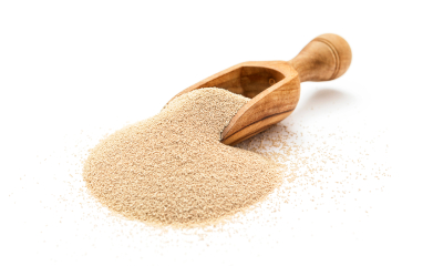 Yeasts