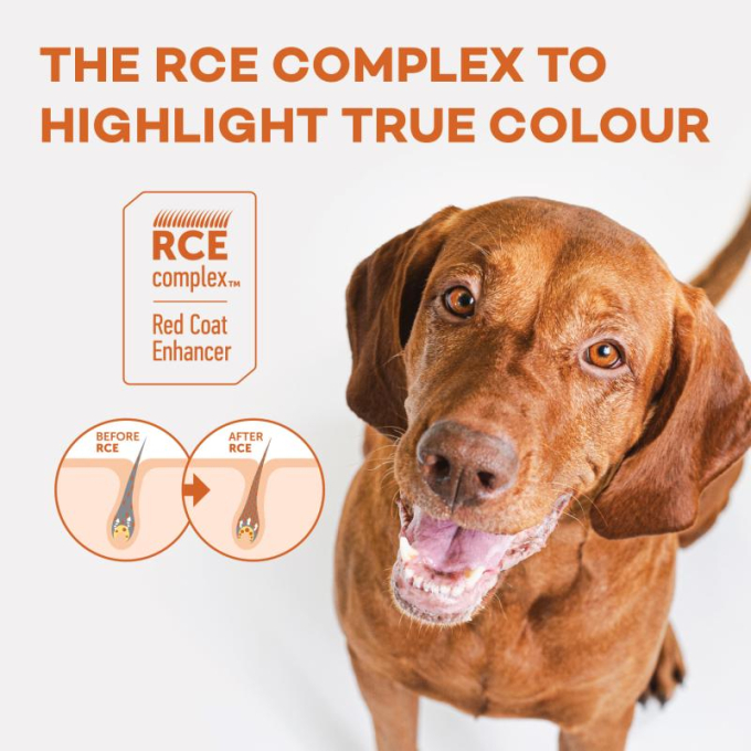 Red Coat Grain Free Salmon Adult Small Breed dry food for dogs - 6