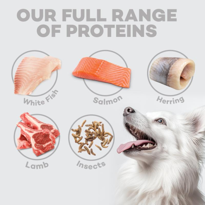 dry food for adult, small and mini breed dogs with white coat, with lamb - 8
