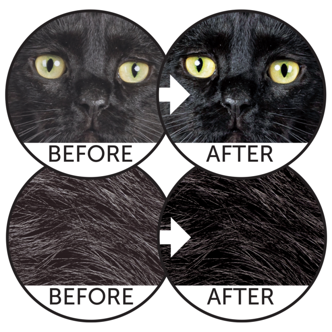 dry grain free pet food with herring for adult all breed cats with dark coat - 9