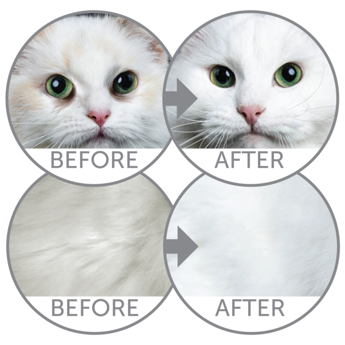 dry grain free pet food with herring for adult all breed cats with white coat - 7