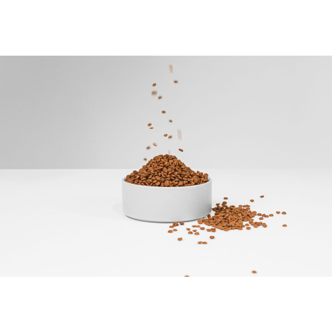 dry grain free food for adult dogs of small breeds with red coat, with lamb  - 12
