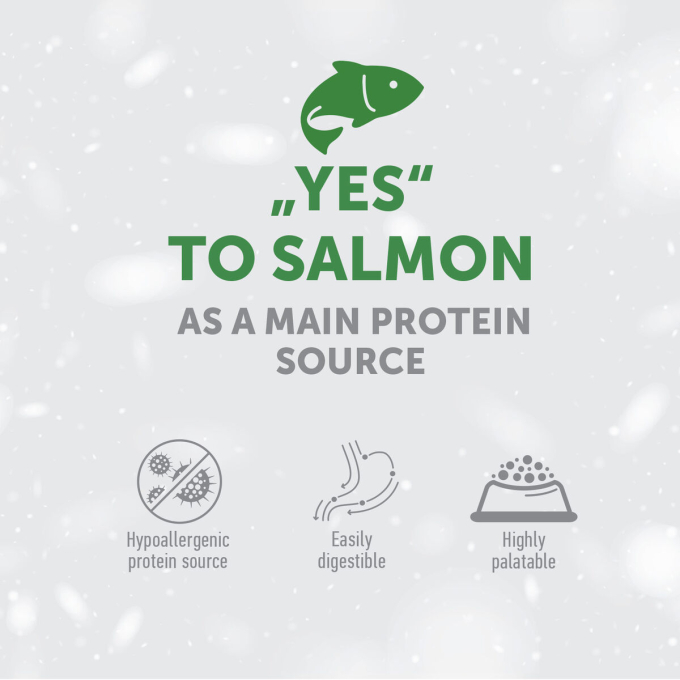 dry grain free pet food with salmon for adult sensitive dogs of all breeds - 2