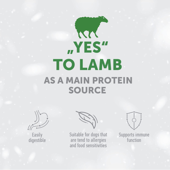 dry food for adult dogs of all breeds with sensitive skin and stomach, with lamb - 2
