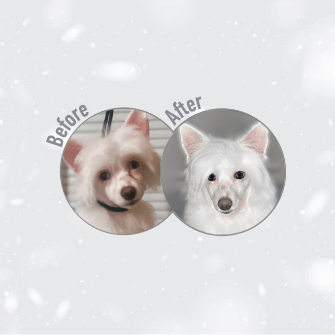 dry food with white fish for adult dogs of large breeds with white coat - 19