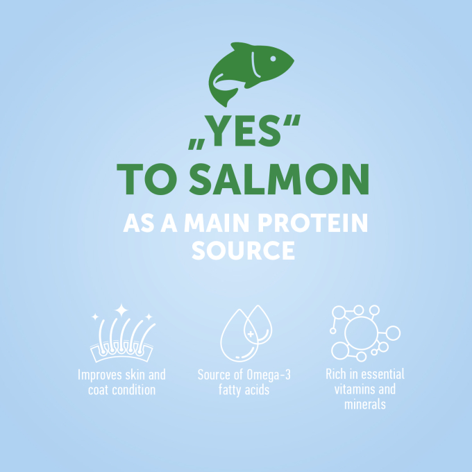 dry food for adult dogs of all breeds with salmon - 5