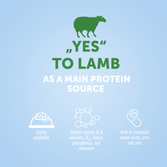 dry food for adult dogs of all breeds with lamb - 5