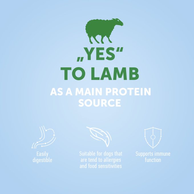 dry food for adult dogs of all breeds with lamb - 6