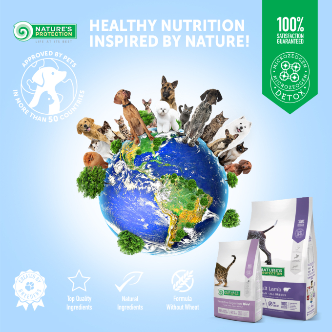 dry food for adult small breed dogs with lamb - 4