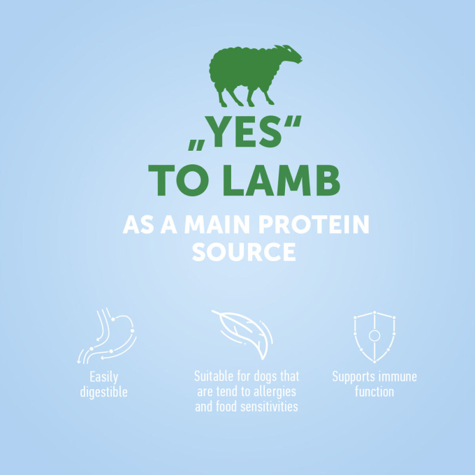 dry food for adult small breed dogs with lamb - 3