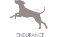 Unique icon 0 dry food for active adult dogs of all breeds with poultry and krill