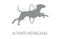 Unique icon 0 dry food for adult dogs of all breeds with salmon