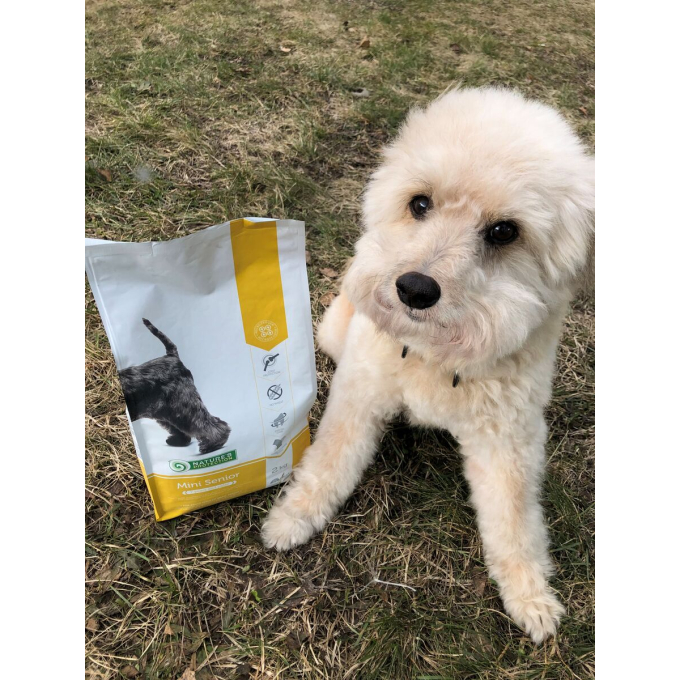 dry food for senior dogs of small breeds with poultry - 7
