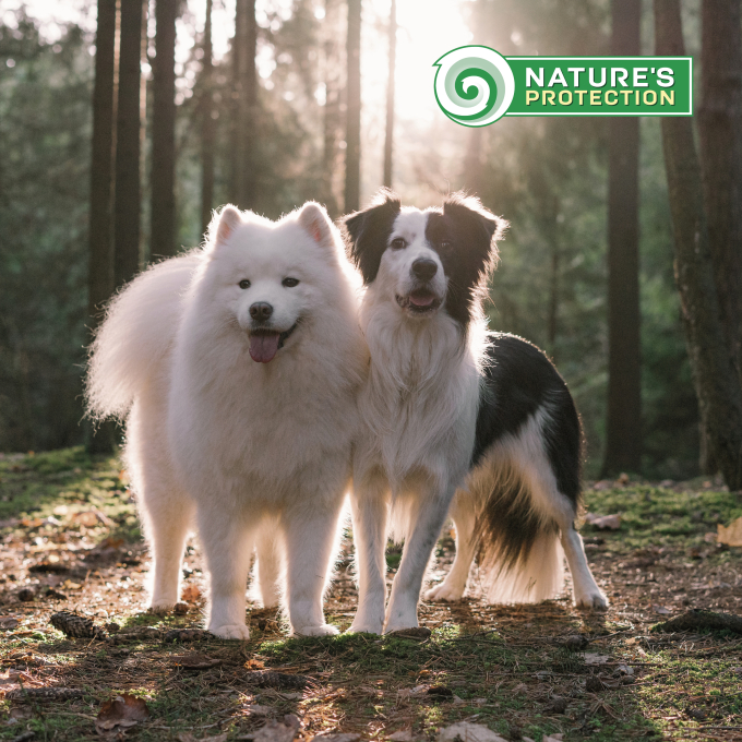 dry food for active adult dogs of all breeds with poultry and krill - 9