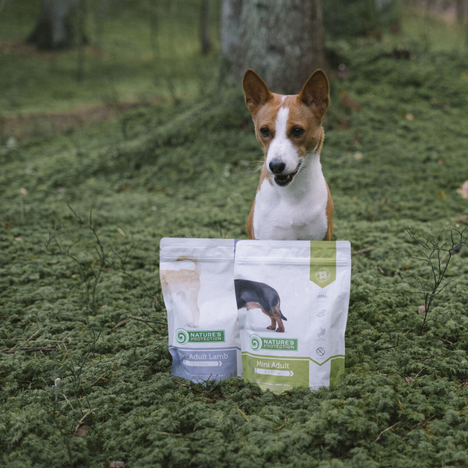 dry food for adult small breed dogs with poultry and krill - 9