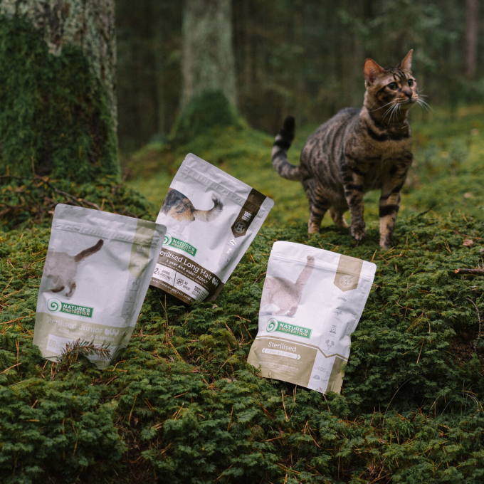 dry food for adult long haired cats after sterilisation with poultry - 8