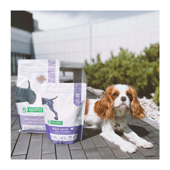 dry food for adult small breed dogs with lamb - 8