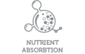 Unique icon 2 Active Detox, complementary feed for adult dogs and cats for body detox
