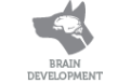 Unique icon 2 complementary feed for puppies for bone development &amp; healthy growth