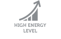 Unique icon 1 complementary feed for adult dogs and cats for maintaining energy levels and body recovery