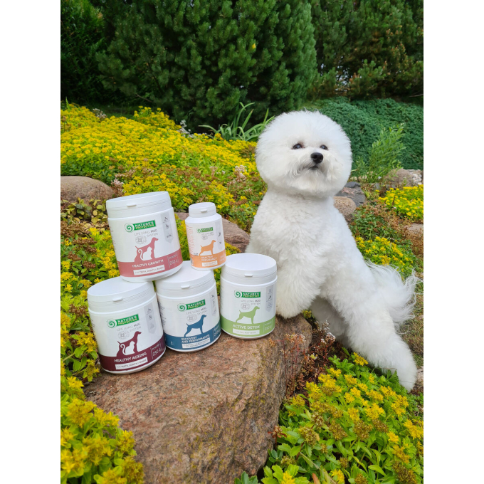 complementary feed for adult dogs and cats for maintaining energy levels and body recovery - 2