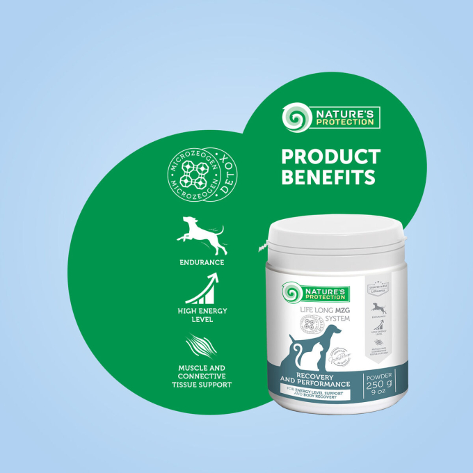 complementary feed for adult dogs and cats for maintaining energy levels and body recovery - 1