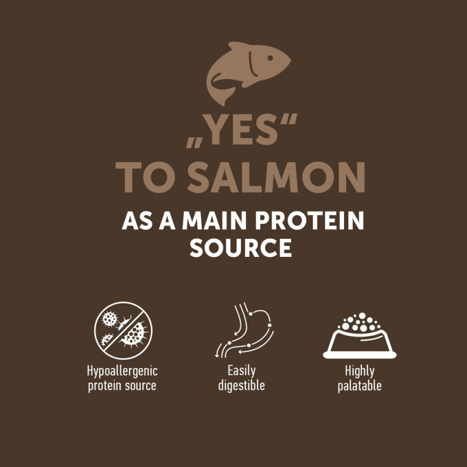 dry grain free food for adult dogs of all breeds with salmon - 4
