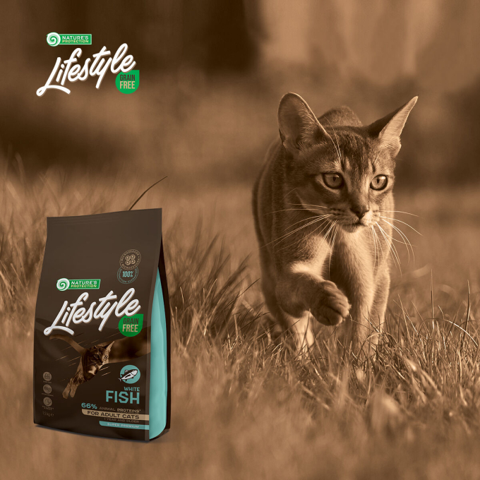 dry grain free food for adult cats with white fish - 6